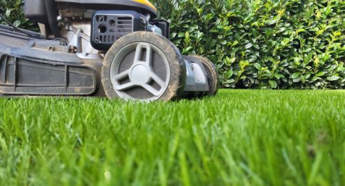 Še kosimo ali že pospravimo kosilnico? Kdaj je pravi trenutek za zadnjo košnjo