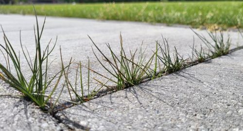 Naj vaše dvorišče zasije s strokovnim čiščenjem tlakovcev