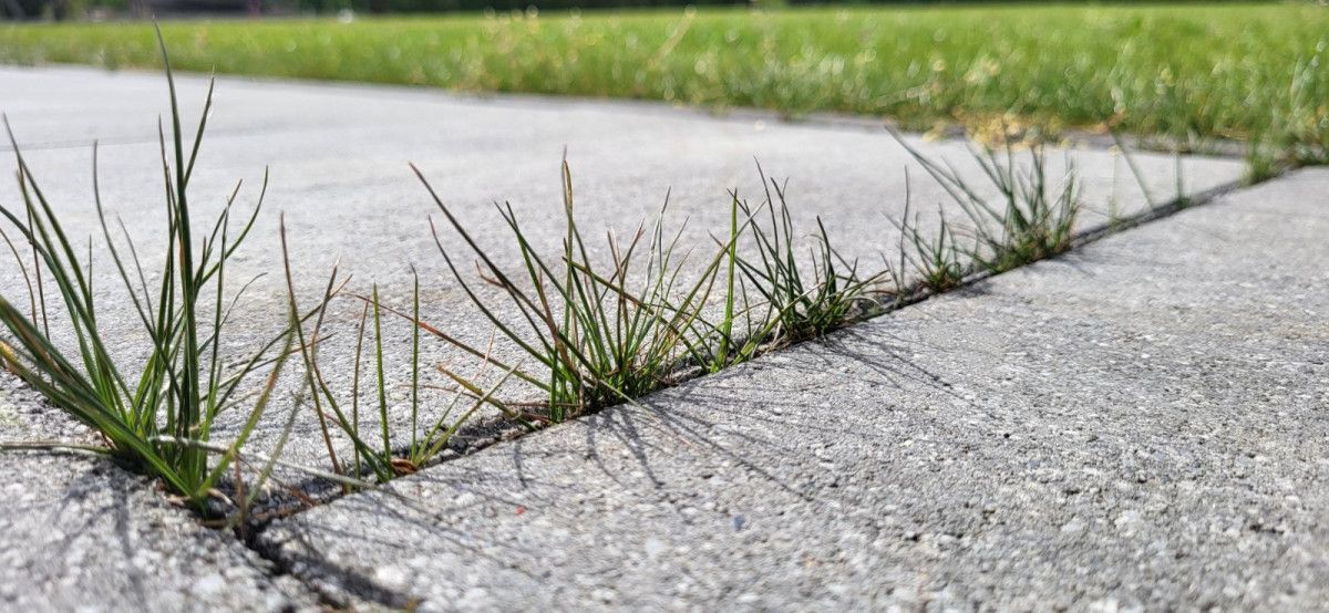 Naj vaše dvorišče zasije s strokovnim čiščenjem tlakovcev
