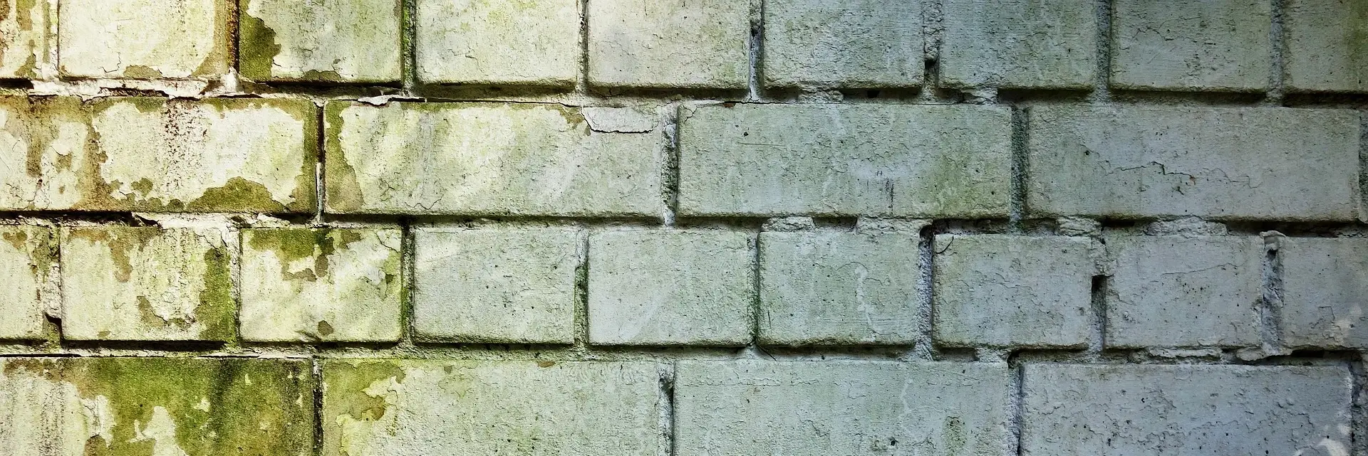 Čiščenje fasad | Nežno in temeljito odstranjevanje umazanije